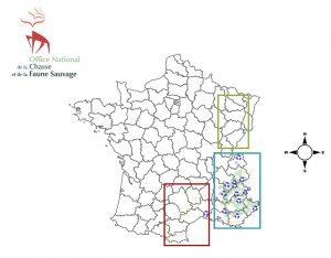 Carte des zones de présence du loup en France.