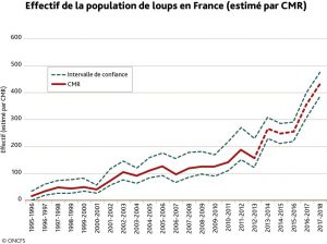 Effectif de la population de loups en France (estimé par CMR).