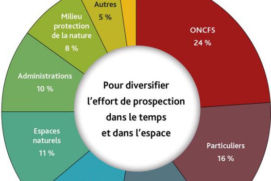 Composition du réseau Loup-Lynx, en 2018. ONCFS.