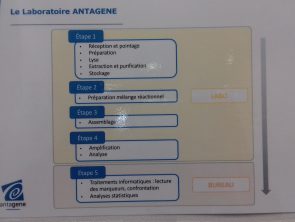 Les grandes étapes de réalisation d’une analyse génétique au laboratoire