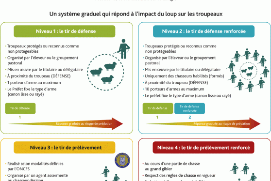 Les dispositifs d'intervention, PNA Loup.