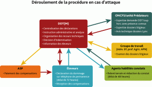 Déroulement de la procédure en cas d'attaque de loup..