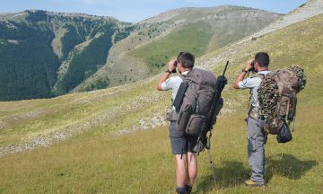 Réponse à la saisine « Tirs de loups »