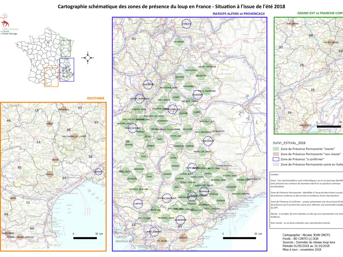 Bilan du suivi estival de la population de loups – été 2018