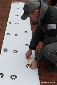 Formation de correspondants Réseau Loup-Lynx.