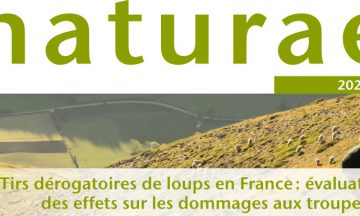 Tirs dérogatoires de loups en France : évaluation des effets sur les dommages aux troupeaux (Naturae 2023 . 5)