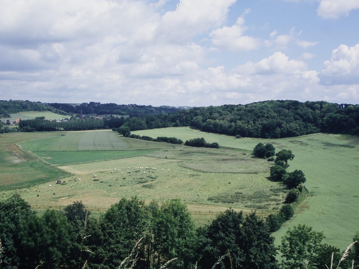 Hauts-de France et Normandie : l’ONCFS veille via son Réseau « Sentinelle »