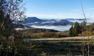 Des nouvelles du loup dans les Vosges bas-rhinoises