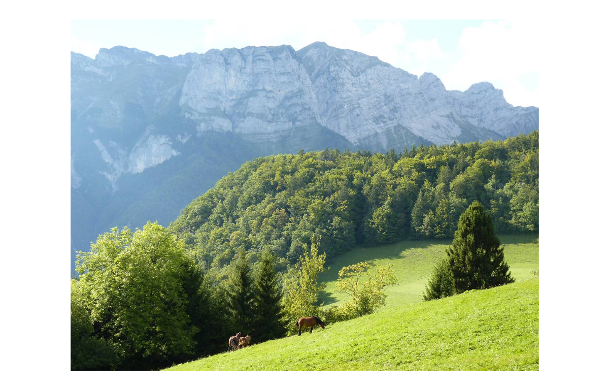 Des nouvelles du LIFE WOLFALPS EU : évaluation des perceptions à l'égard du loup