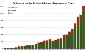 Bilan du suivi hivernal de la population de loups / Hiver 2020-2021