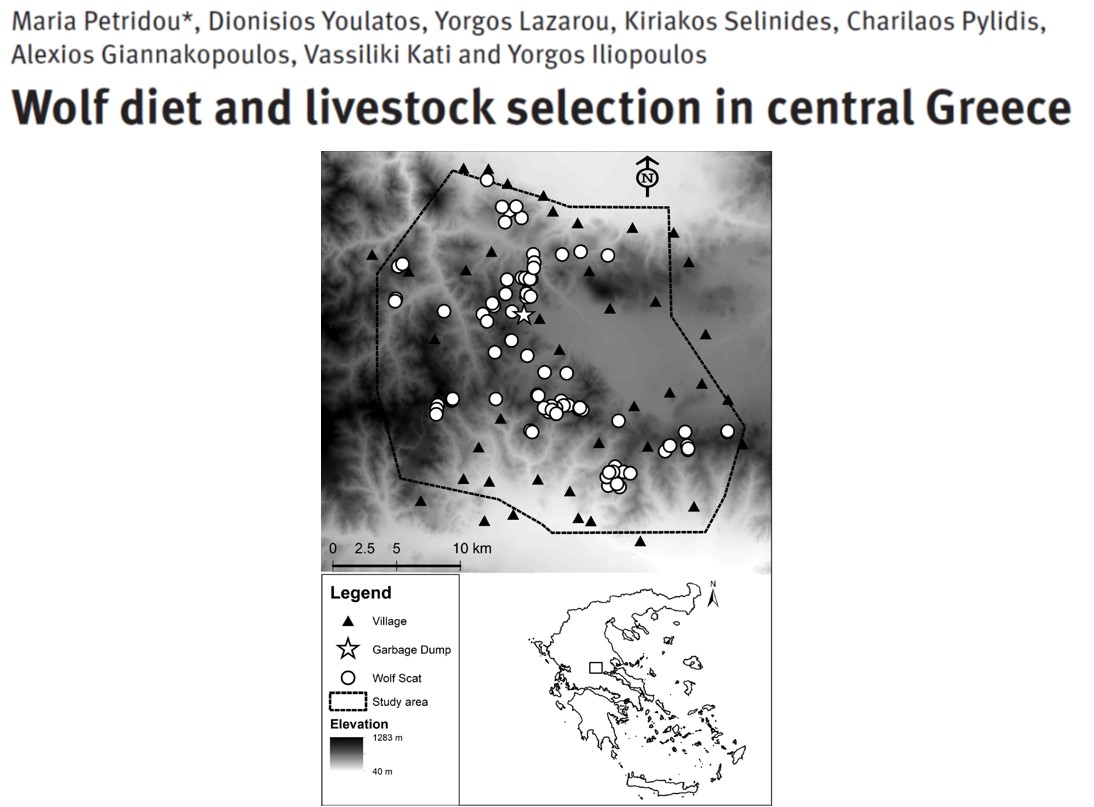 Le régime alimentaire du loup en Grèce centrale