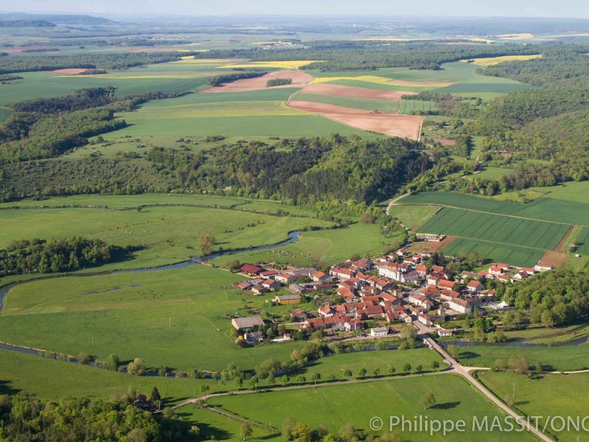 St Amond, une Zone de Présence Permanente du loup en zone de plaine