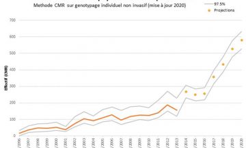 Bilan du suivi hivernal de la population de loups / Hiver 2019 - 2020