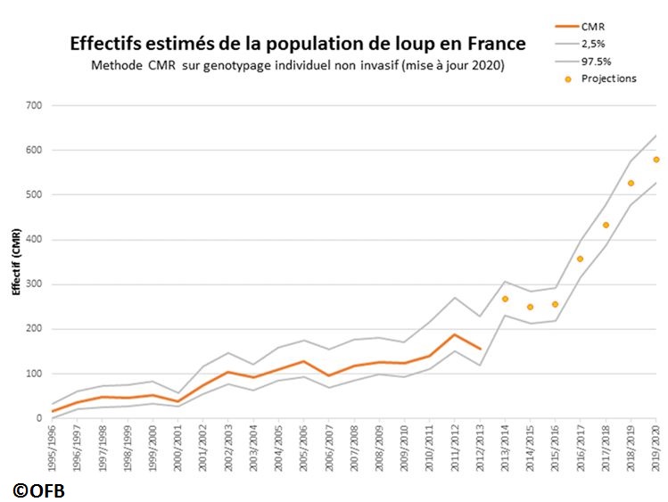 Bilan du suivi hivernal de la population de loups / Hiver 2019 - 2020