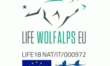 Première conférence internationale du projet LIFE WOLFALPS EU : "Actions coordonnées pour la coexistence entre les activités humaines et le loup à l'échelle des Alpes"