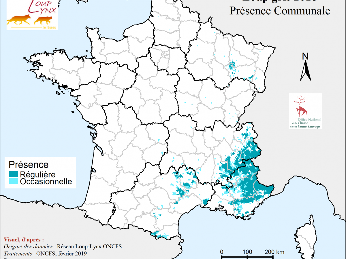Bilan communal de présence du loup en 2018 (France)