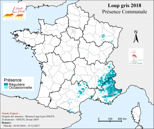 Présence communale du loup gris en France 2018.