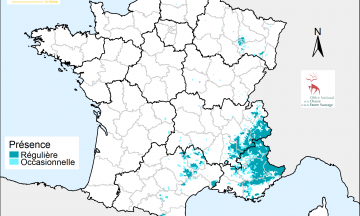 Bilan communal de présence du loup en 2018 (France)