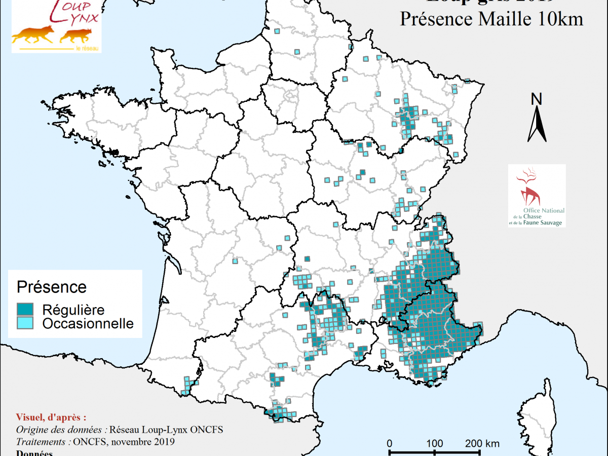 Bilan spatial de présence du loup en 2019 (France)