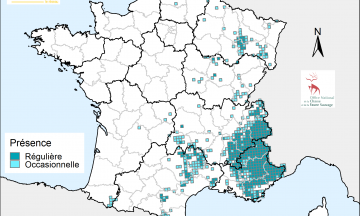 Bilan spatial de présence du loup en 2019 (France)