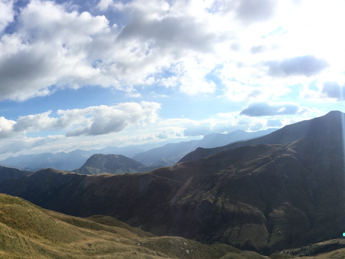 Un cadavre de canidé atypique retrouvé au Col de la Croix Haute