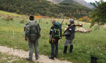 Rediffusion du film documentaire « Avec les hommes de la Brigade Loup »