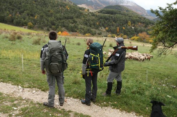 Rediffusion du film documentaire « Avec les hommes de la Brigade Loup »